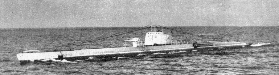 klasa Wilk