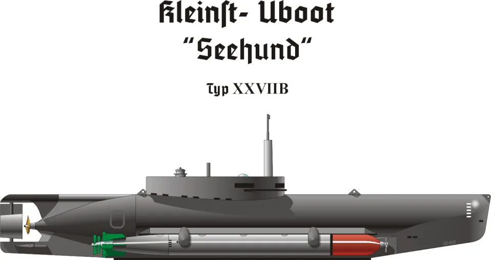 Seehund