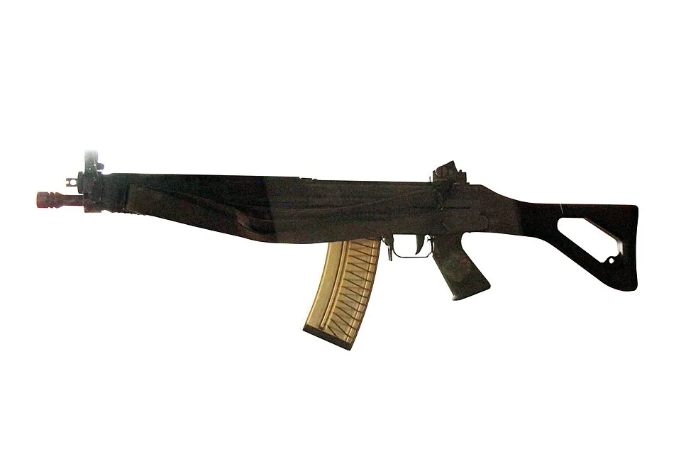SIG SG 541
