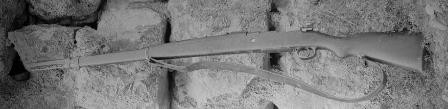 Steyr Model 1912 Mauser